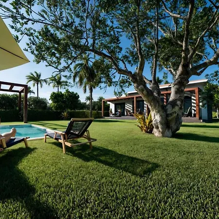Platana Beachfront Villa Villa